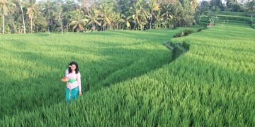 Manuaba Ricefield